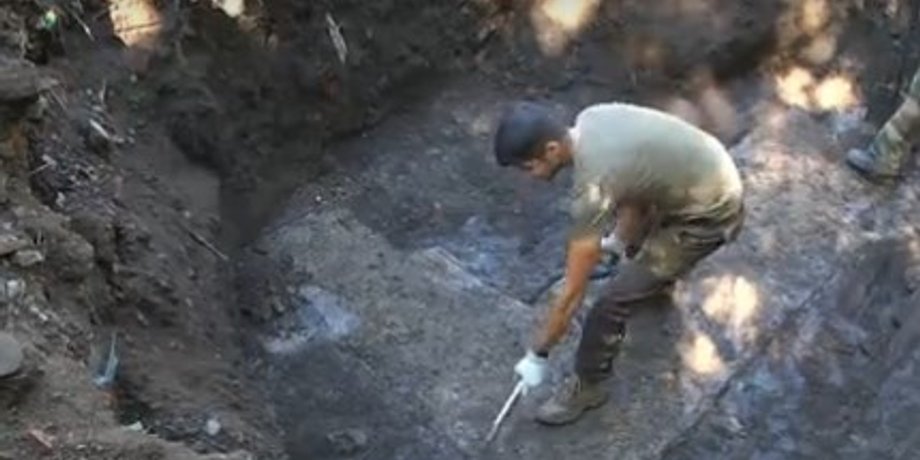 фото: скриншот из видео/ТСН