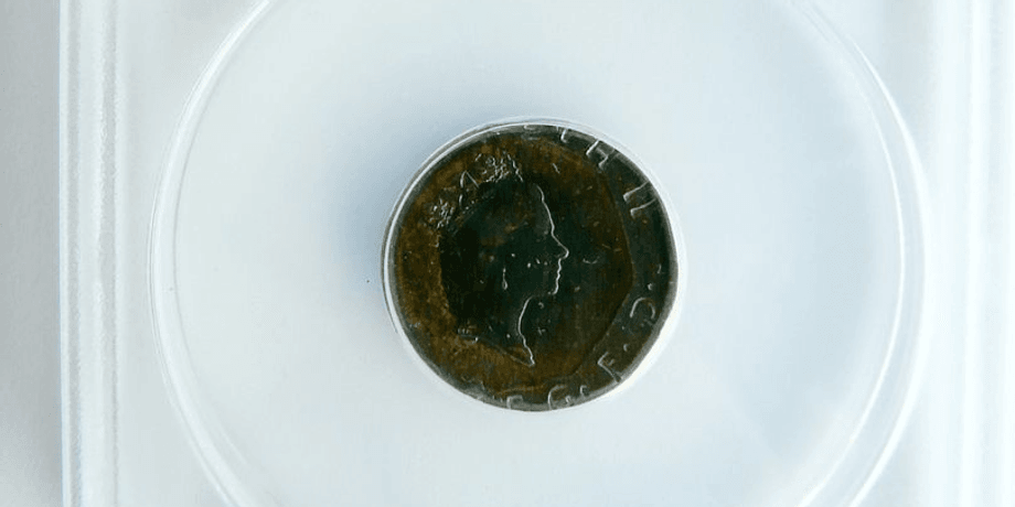 Редкая монета, единственный экземпляр, монета, деньги, 20 пенсов, продали на аукционе, монета с ошибкой, коллекционер