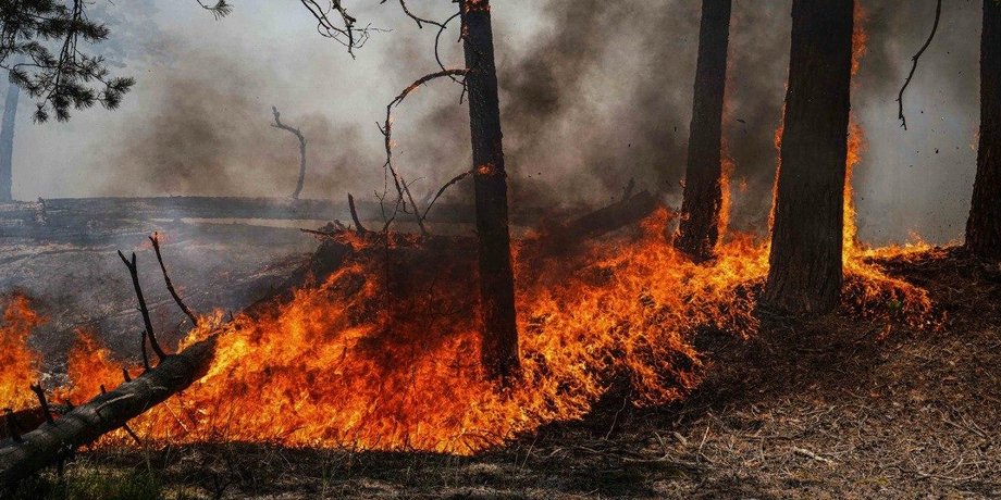 Последствия пожара в Чернобыльской зоне