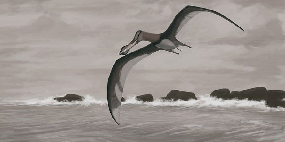 Wikimedia Commons