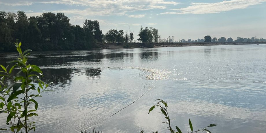 река Десна, Десна, загрязненная Десна, Десна загрязнение, загрязненная вода на Киевщине