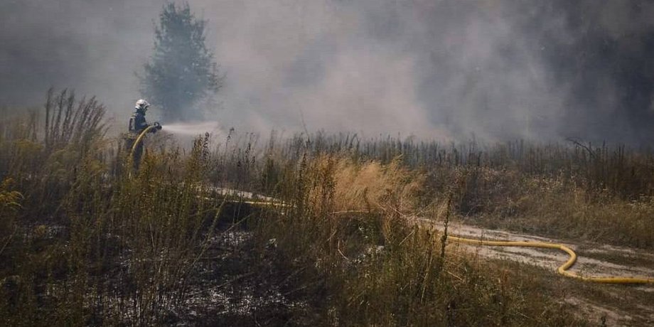 пожежа, дснс, рятувальники, ліс, поле, вогонь