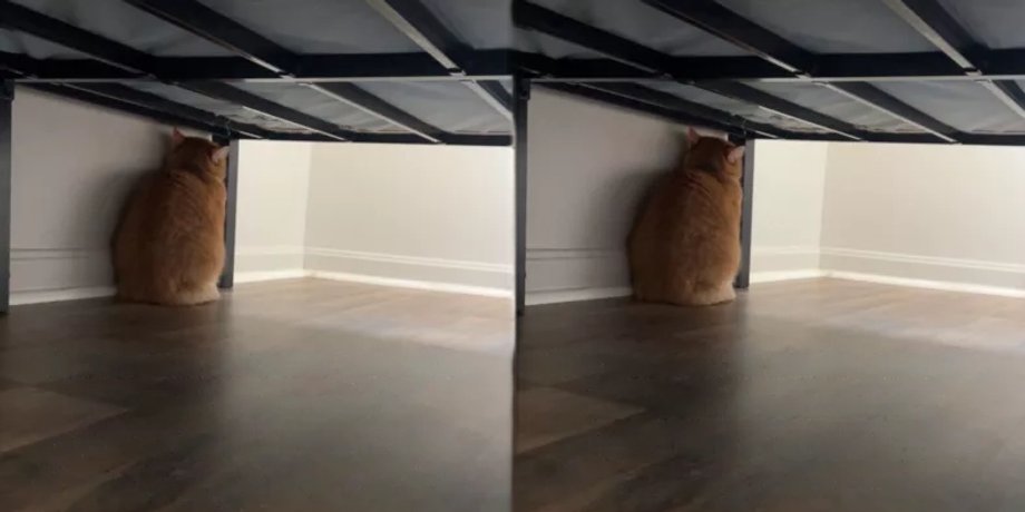 обиженный кот