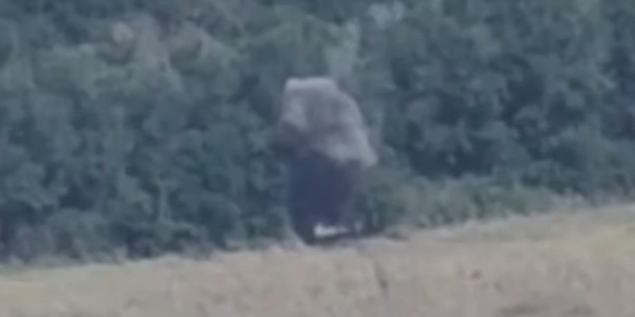 т-80