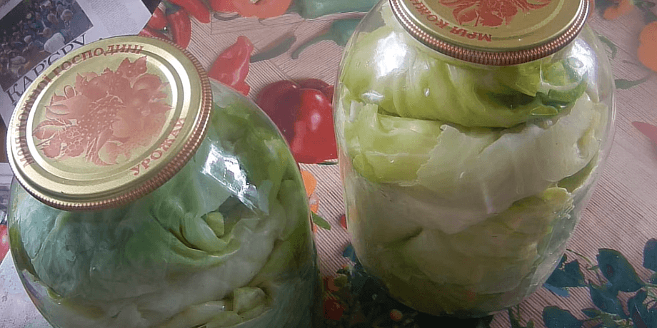 листя капусти, мариноване листя капусти, мариноване листя капусти