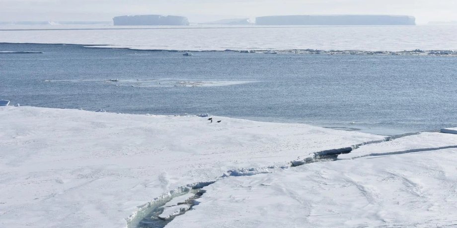 антарктический морской лед
