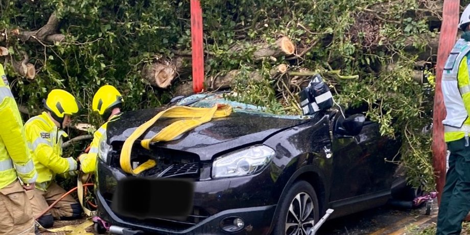 Фото: Twitter/@roadpoliceBCH