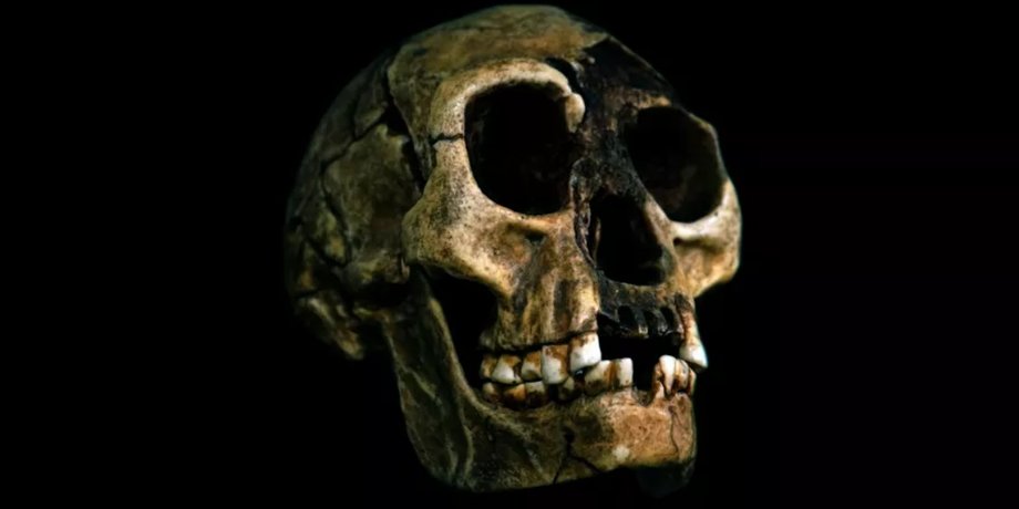 хоббиты, древние люди, Homo Sapiens, Homo floresiensis, вымерший вид