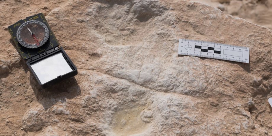 Фото: Palaeodeserts Project