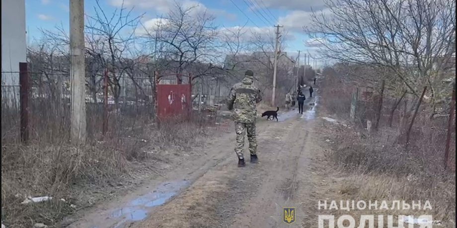 Убийство, полиция, Одесская область, убила топором, муж