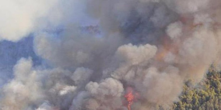 Фото с сайта Подробности