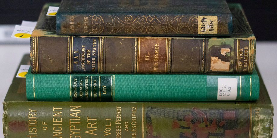 Книги содержат тяжелые металлы