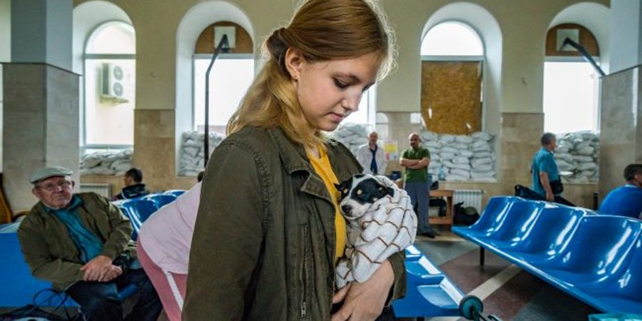 Переселенцы в Украине