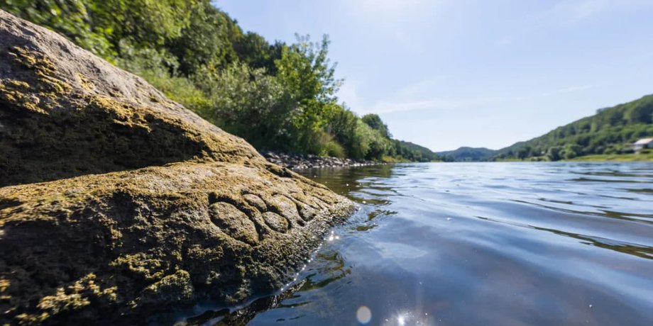 Уровень воды в большой реке Эльбе понизился из-за жары