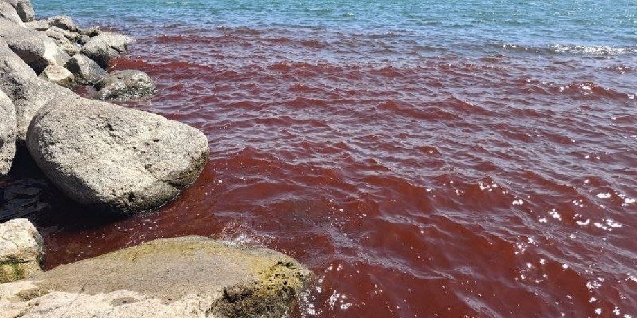 Воды Галилейского моря окрасились в красный цвет