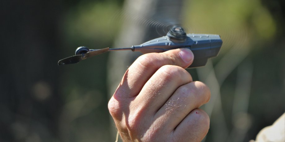 Black Hornet, black hornet drone