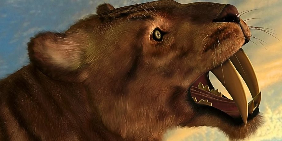 Саблезубые кошки: ученые нашли причину вымирания хищников длиной 2 метра