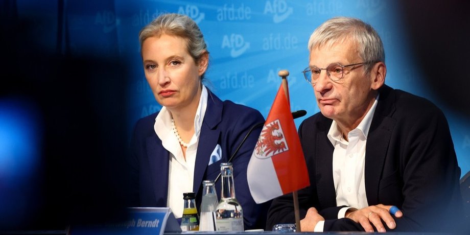шпионаж в пользу России партия AfD
