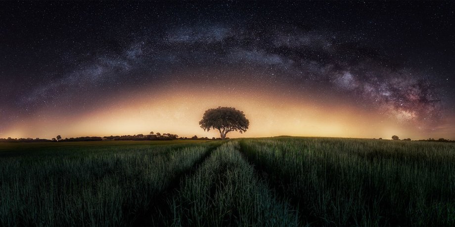 Фото: thepanoawards.com