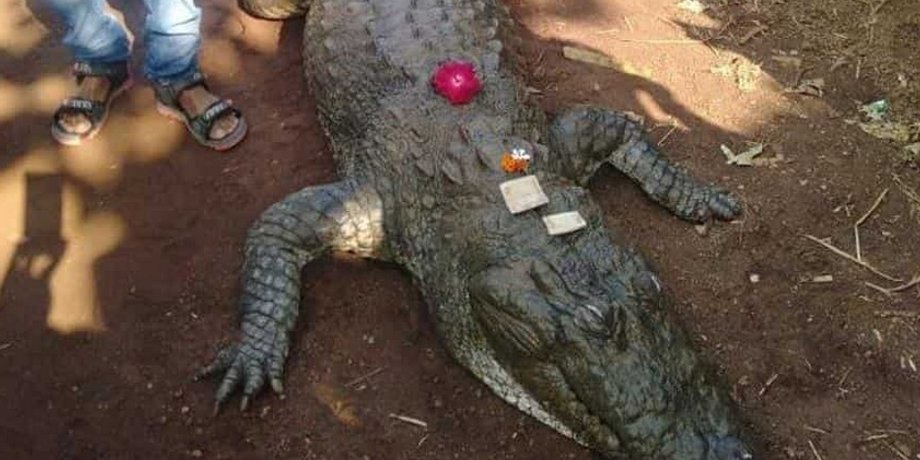 Фото: hindustantimes.com