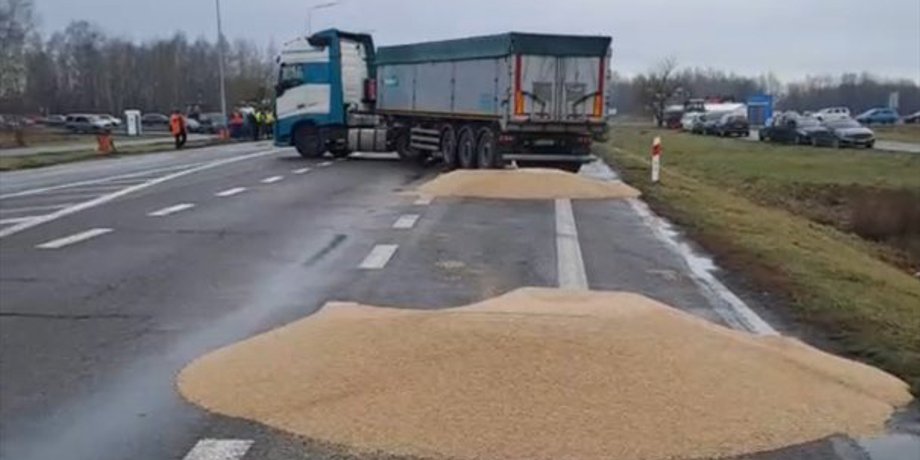 українське зерно, Польща, сільське господарство, Польща фермери, Польща імпорт товарів з України, заворушення фермерів у Польщі