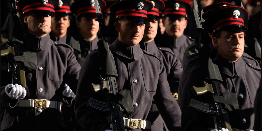 збройні сили європейських країн, збройні сили НАТО, демілітаризація, зупинка ВПК, збройова промисловість