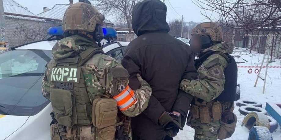 Силовики, задержание рябчука, Артемия Рябчука