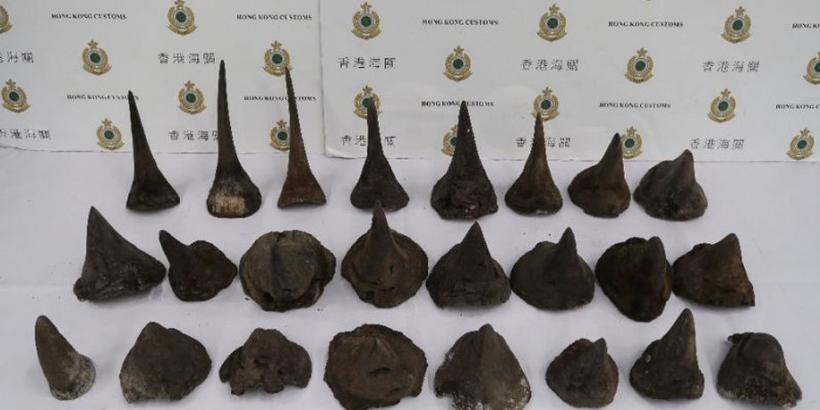 Фото: Hong Kong Customs and Excise Department