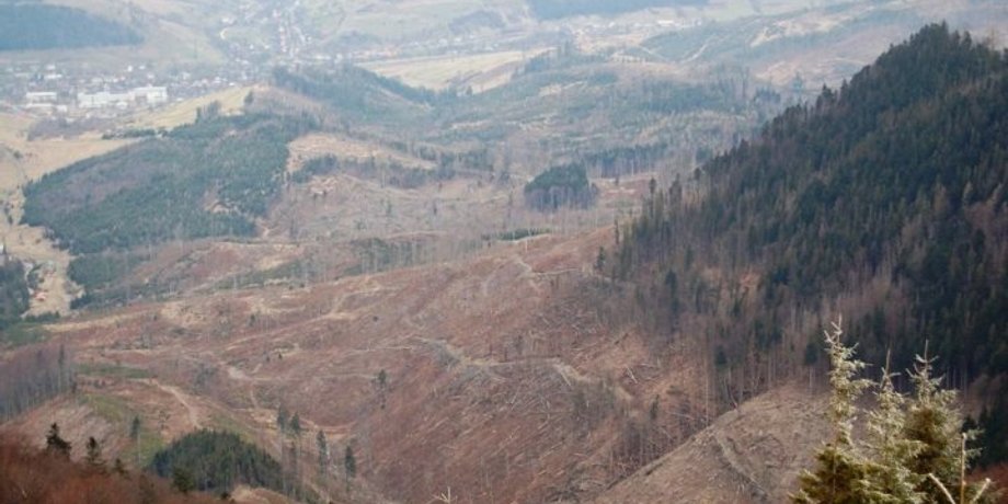 Фото: Обозреватель