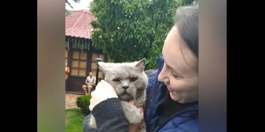 Кот, Харьков
