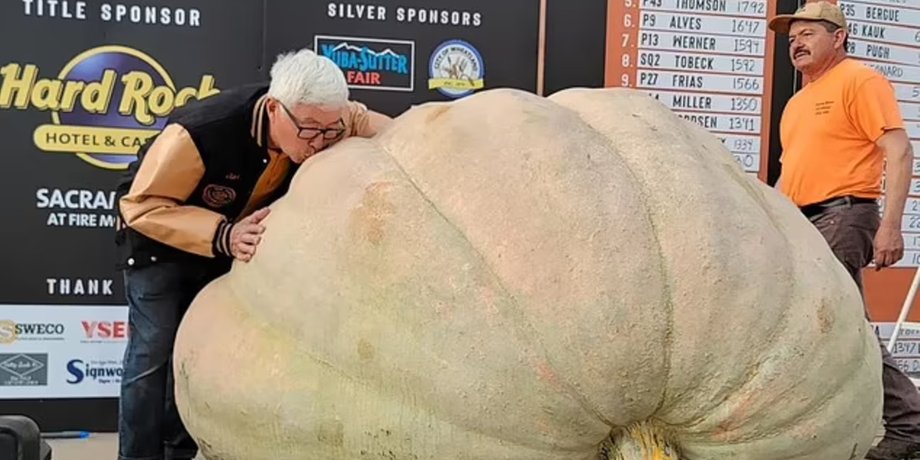 Чемпіонат світу з найважчого гарбуза, зважування гарбузів, конкурс, гроші, приз, побив світовий рекорд, фермер із Канади