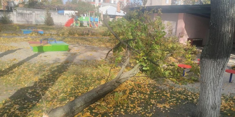 В Кременчуге умерла 4-летняя девочка после падения дерева