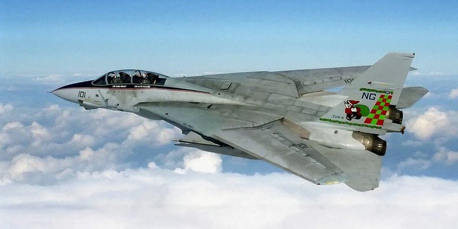 F-14 Tomcat, F-14, винищувач F-14 Tomcat, багатоцільовий винищувач-перехоплювач