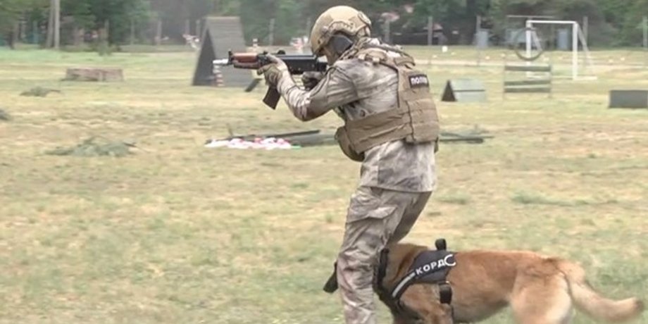 Фото: Скриншот из видео