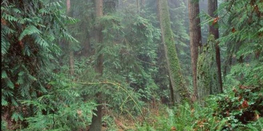 SCIENCE PHOTO LIBRARY