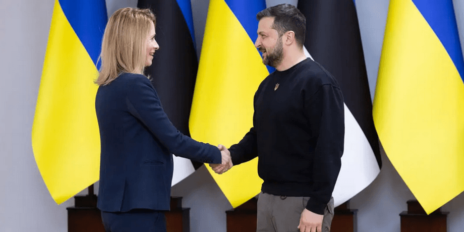 Кая Каллас, Володимир Зеленський, прапор Естонії, прапор України