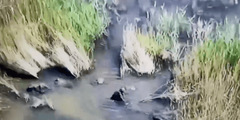 способи маскування від російських солдатів, водна перешкода, форсування, заклик до пильності