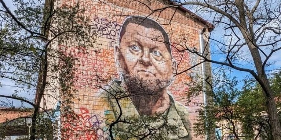 мурал с залужным, интернат, залужный, валерий залужный