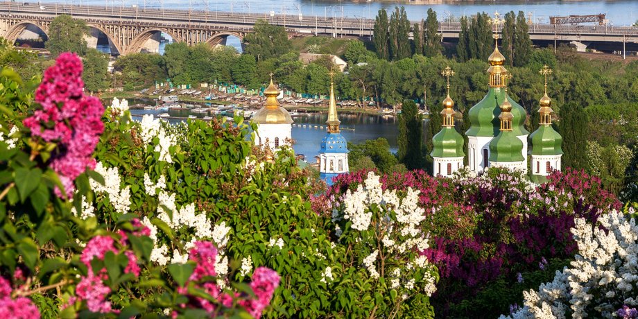 Київ, бузок, ботанічний сад