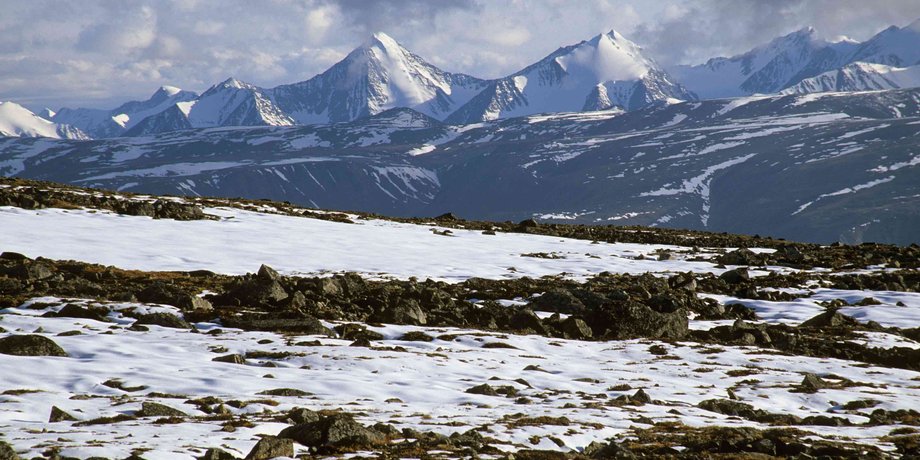 горы, трава, снег, фото