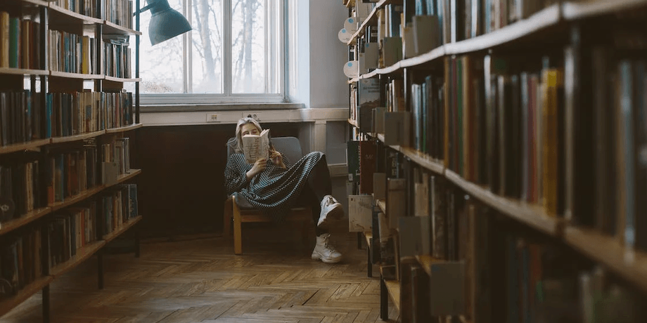 Книга, чтение книги, книга без буквы Е, роман, La Disparition, A Void, ограниченная техника письма, необычная книга