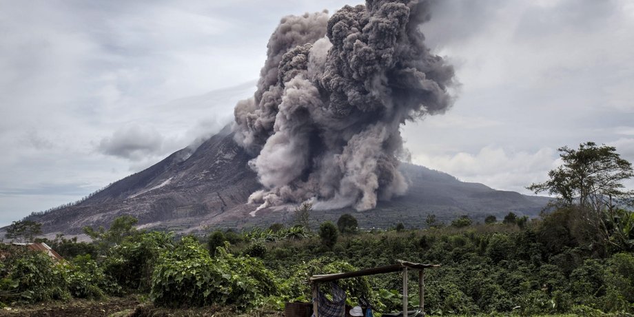 Фото: www.sciencetimes.com