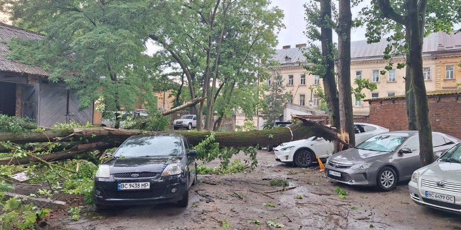 Попри спеку по всій Україні: у Львові через негоду зірвало дах і повалило дерева (фото)
