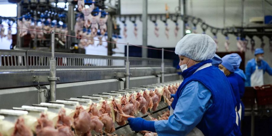 курятина, дефицит мяса, россия дефицит, россия дефицит продуктов