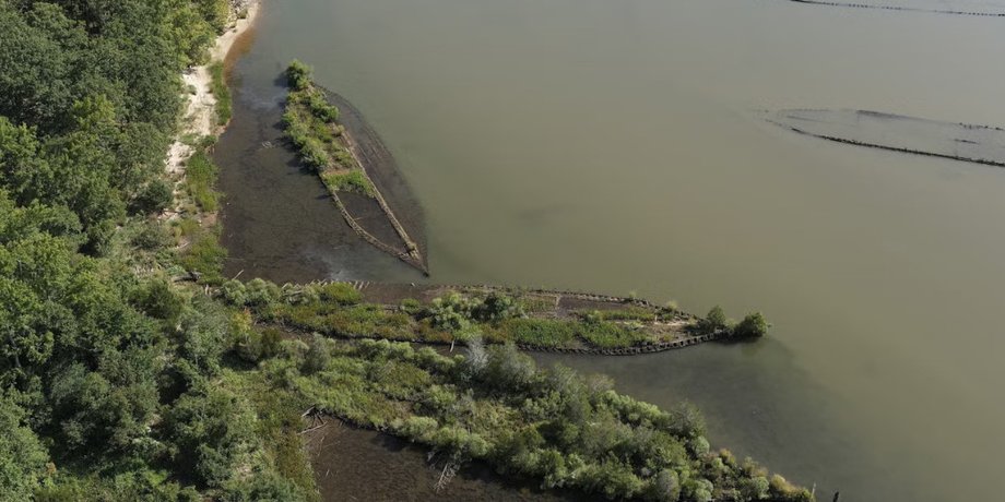 Вчені фіксують процвітання морських істот