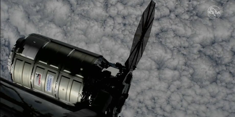 Cygnus