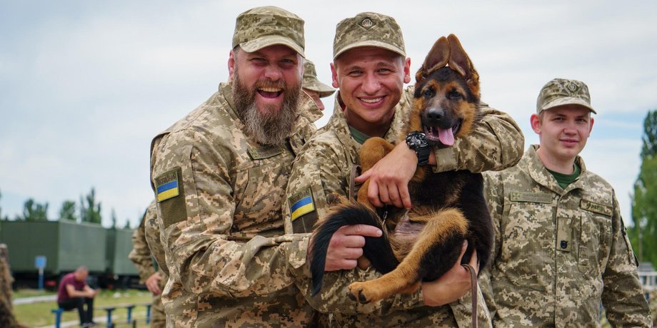 актори, собака, прикордонники, кадр з серіалу