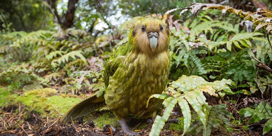 Фото: twitter Dr Andrew Digby