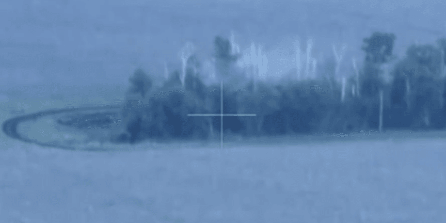 війна, лісосмуга, харківщина, дпсу, вовчанський напрямок