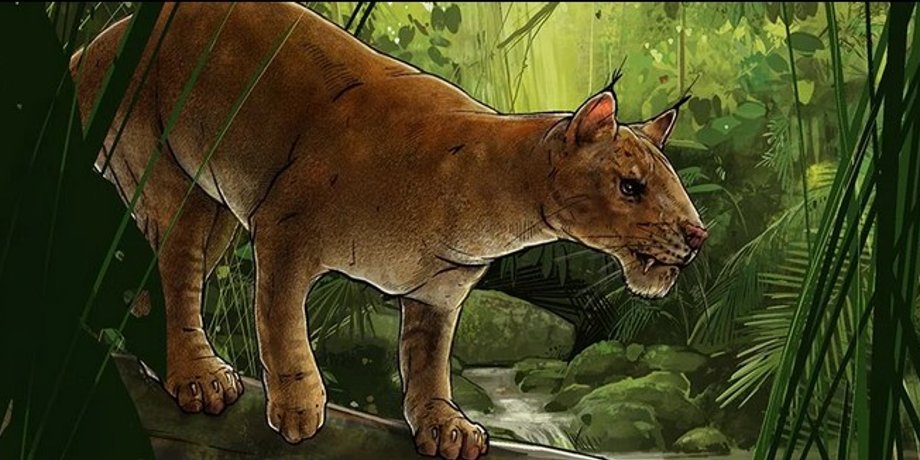 Diegoaelurus vanvalkenburghae